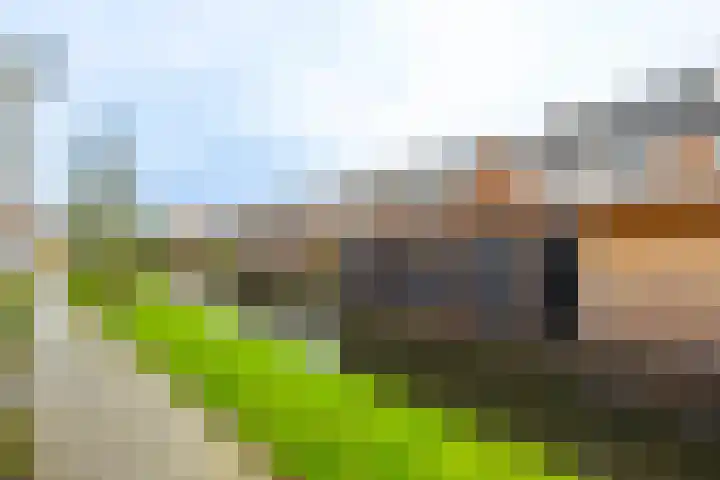 Van den Boetzelaerlaan 47 Langerak thumbnail 36