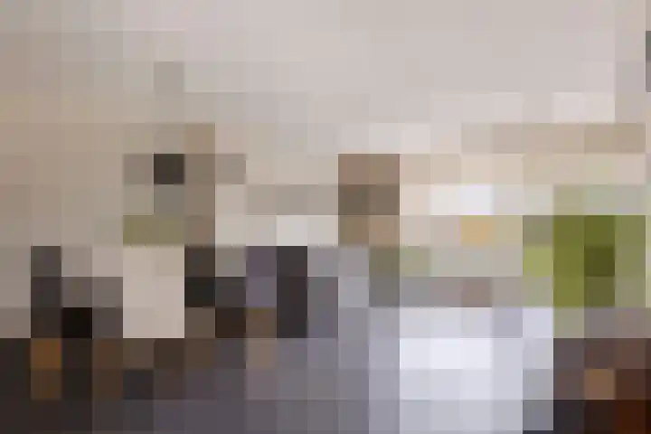 Van den Boetzelaerlaan 47 Langerak thumbnail 8