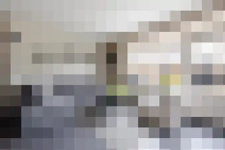 Van den Boetzelaerlaan 47 Langerak thumbnail 9