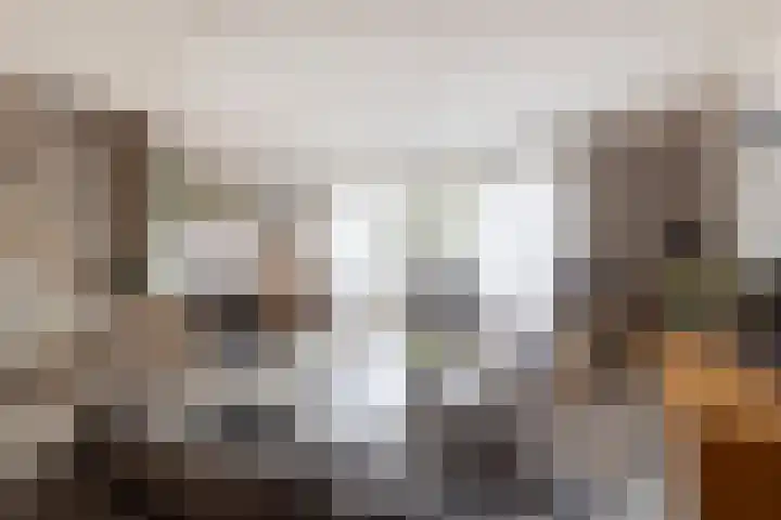 Van den Boetzelaerlaan 53 Langerak thumbnail 13