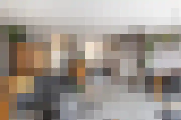 Van den Boetzelaerlaan 53 Langerak thumbnail 14