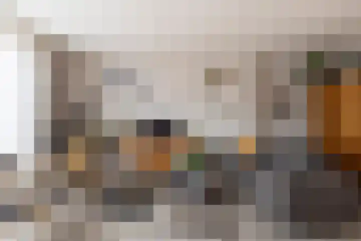 Van den Boetzelaerlaan 53 Langerak thumbnail 16
