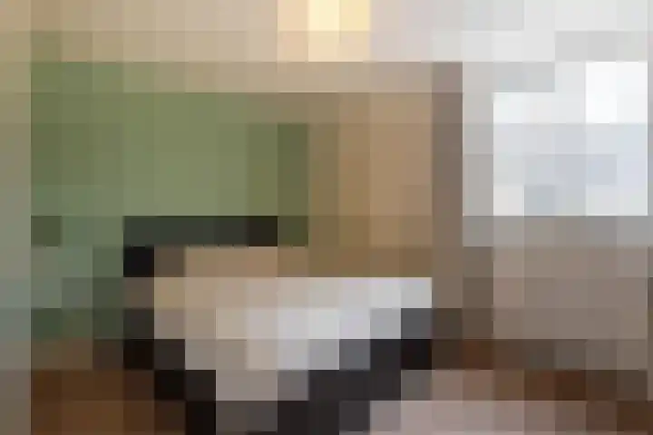 Van den Boetzelaerlaan 53 Langerak thumbnail 18