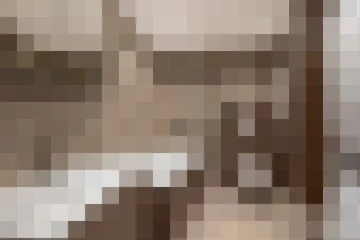 Van den Boetzelaerlaan 53 Langerak thumbnail 22