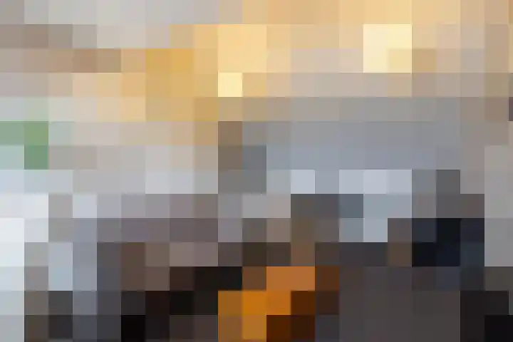 Van den Boetzelaerlaan 53 Langerak thumbnail 27