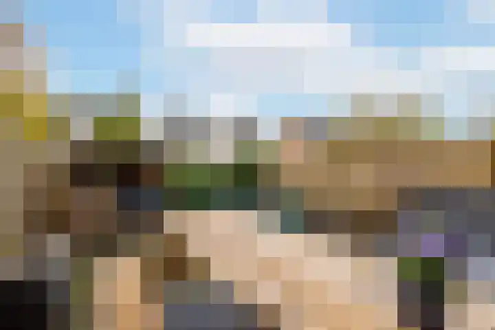 Van den Boetzelaerlaan 53 Langerak thumbnail 29