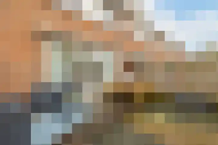 Van den Boetzelaerlaan 53 Langerak thumbnail 30