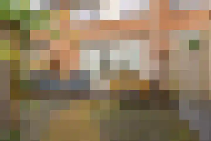 Van den Boetzelaerlaan 53 Langerak thumbnail 31