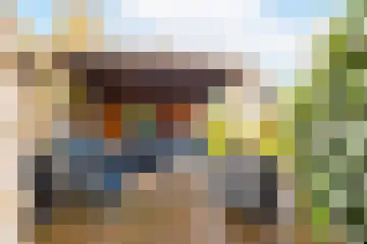 Van den Boetzelaerlaan 53 Langerak thumbnail 33