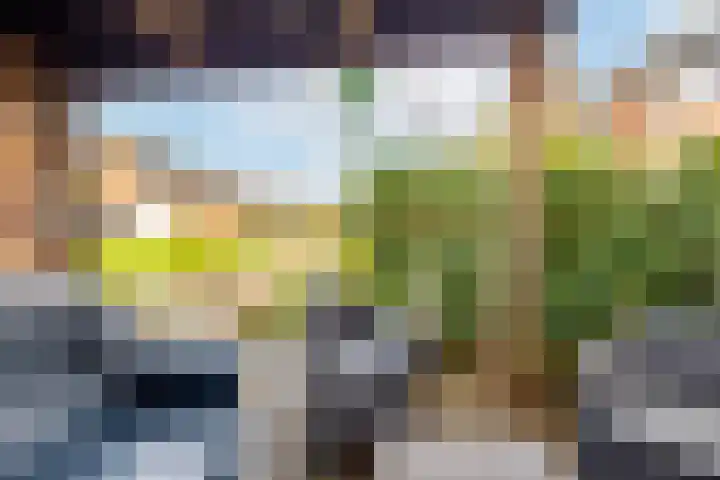 Van den Boetzelaerlaan 53 Langerak thumbnail 34