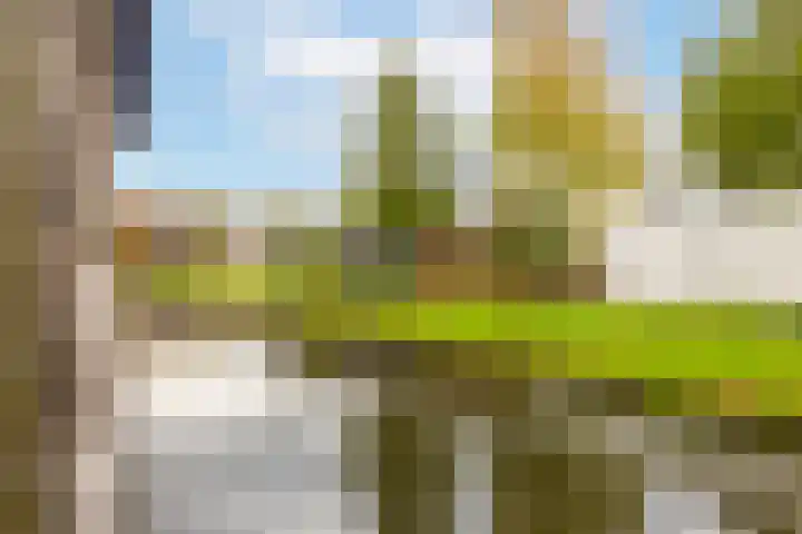 Van den Boetzelaerlaan 53 Langerak thumbnail 36