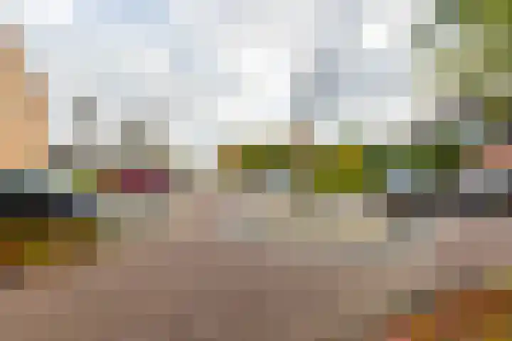 Van den Boetzelaerlaan 53 Langerak thumbnail 38