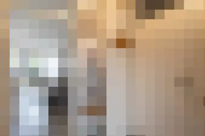 Van den Boetzelaerlaan 53 Langerak thumbnail 8