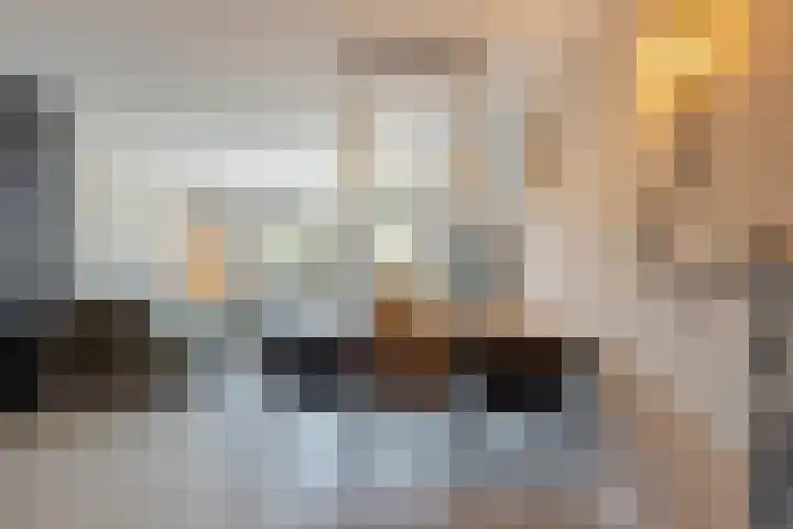 Van den Boetzelaerlaan 85 Langerak thumbnail 11