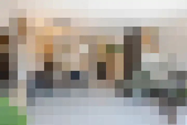 Van den Boetzelaerlaan 85 Langerak thumbnail 14