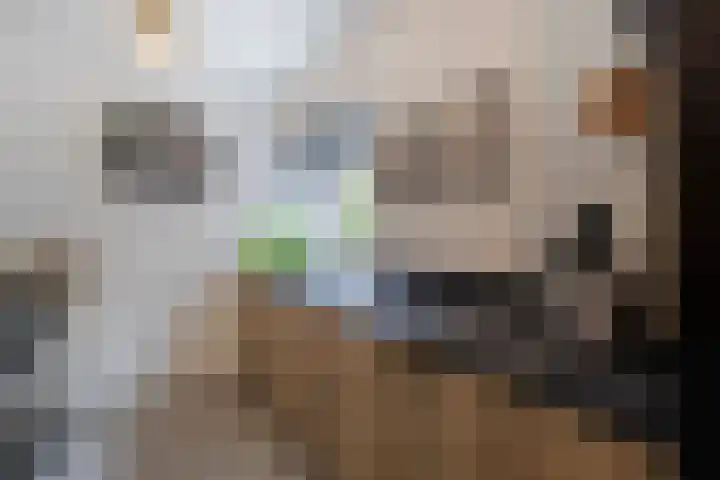 Van den Boetzelaerlaan 85 Langerak thumbnail 17