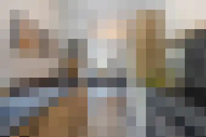 Van den Boetzelaerlaan 85 Langerak thumbnail 19