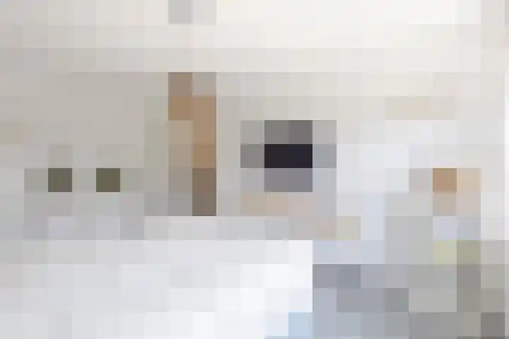 Van den Boetzelaerlaan 85 Langerak thumbnail 21