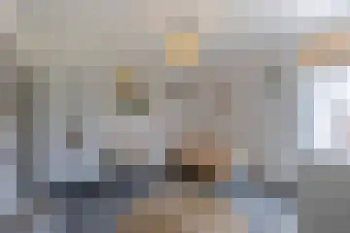 Van den Boetzelaerlaan 85 Langerak thumbnail 22