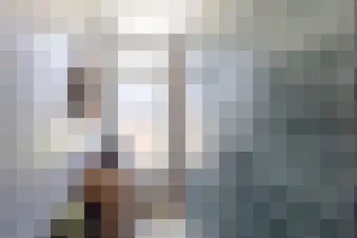 Van den Boetzelaerlaan 85 Langerak thumbnail 25