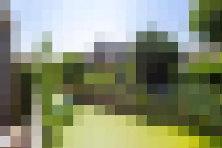 Van den Boetzelaerlaan 85 Langerak thumbnail 34