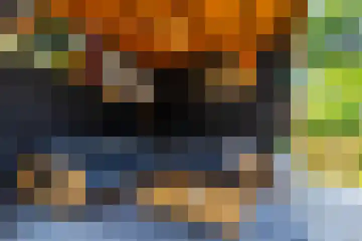Van den Boetzelaerlaan 85 Langerak thumbnail 35