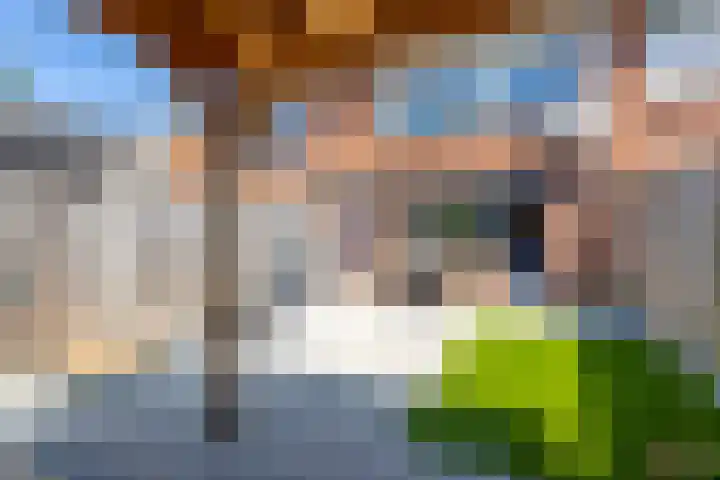 Van den Boetzelaerlaan 85 Langerak thumbnail 36