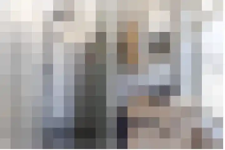Van den Boetzelaerlaan 85 Langerak thumbnail 37