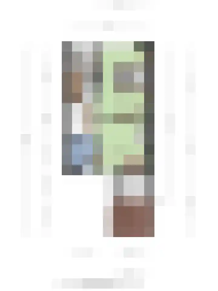 Van den Boetzelaerlaan 85 Langerak thumbnail 45