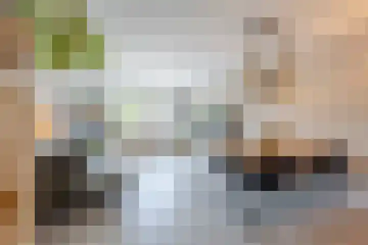 Van den Boetzelaerlaan 85 Langerak thumbnail 5