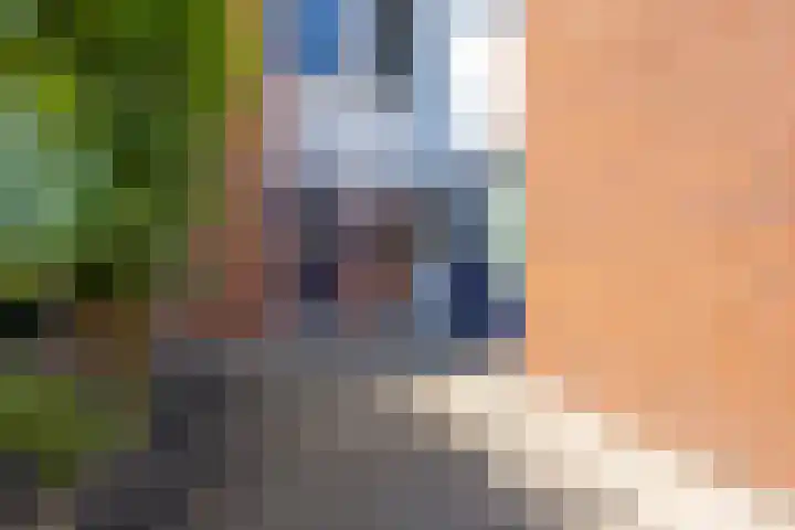 Van den Boetzelaerlaan 85 Langerak thumbnail 6