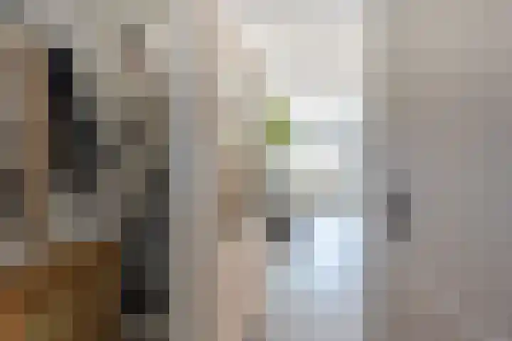 Van den Boetzelaerlaan 85 Langerak thumbnail 7