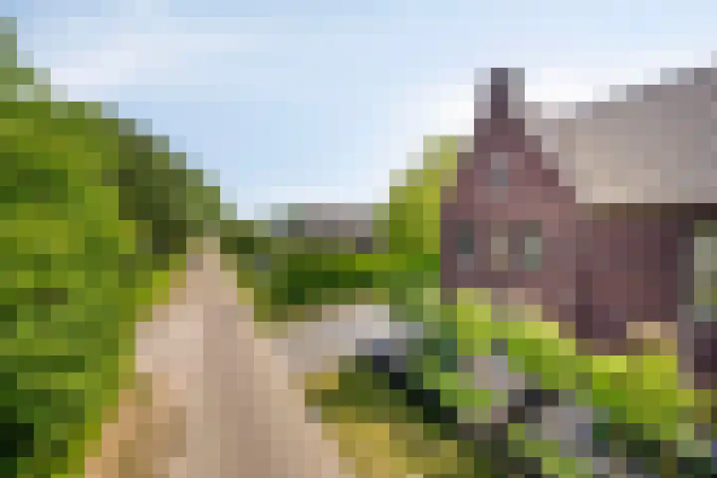 van den Bogaardweg 7 Mill thumbnail 11
