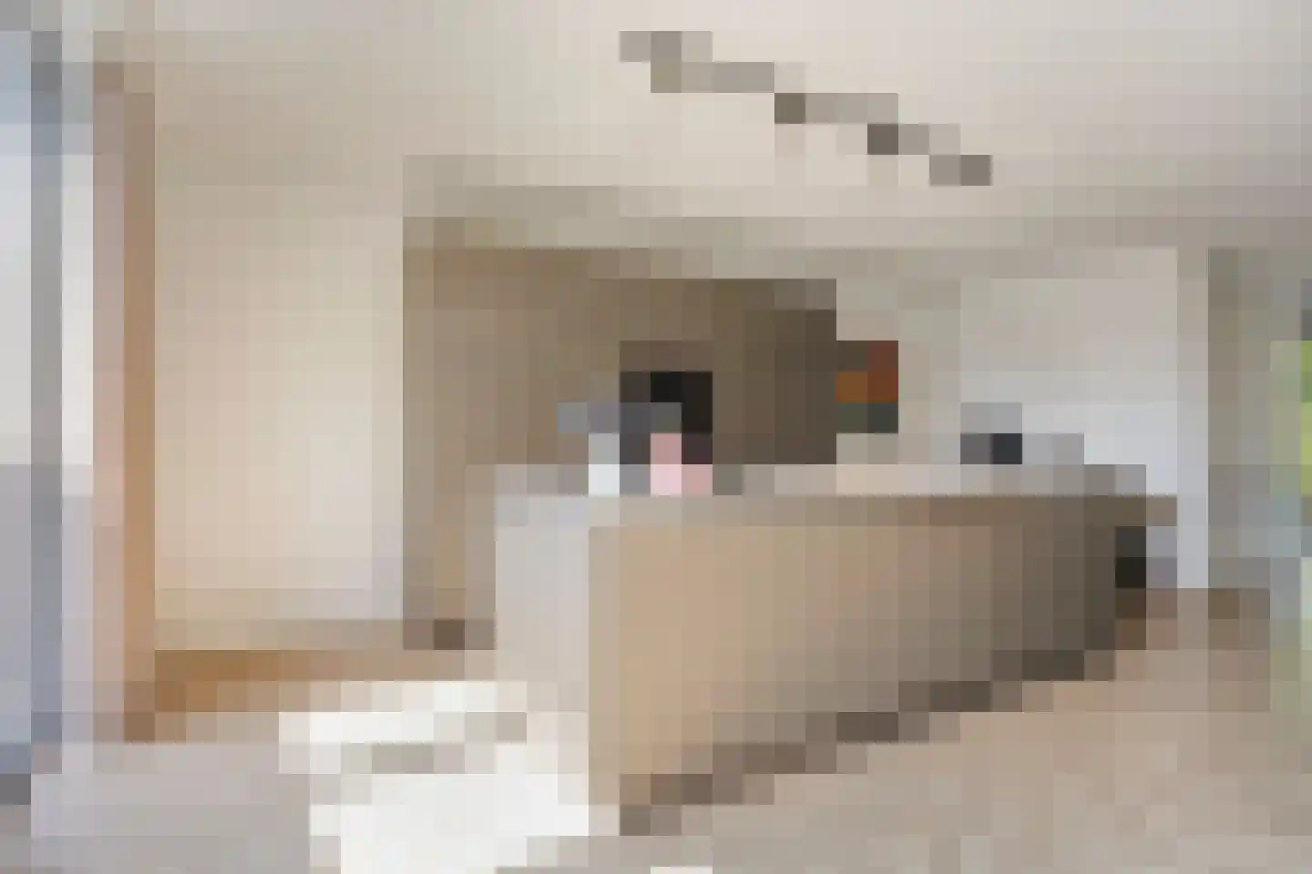 van den Bogaardweg 7 Mill thumbnail 23