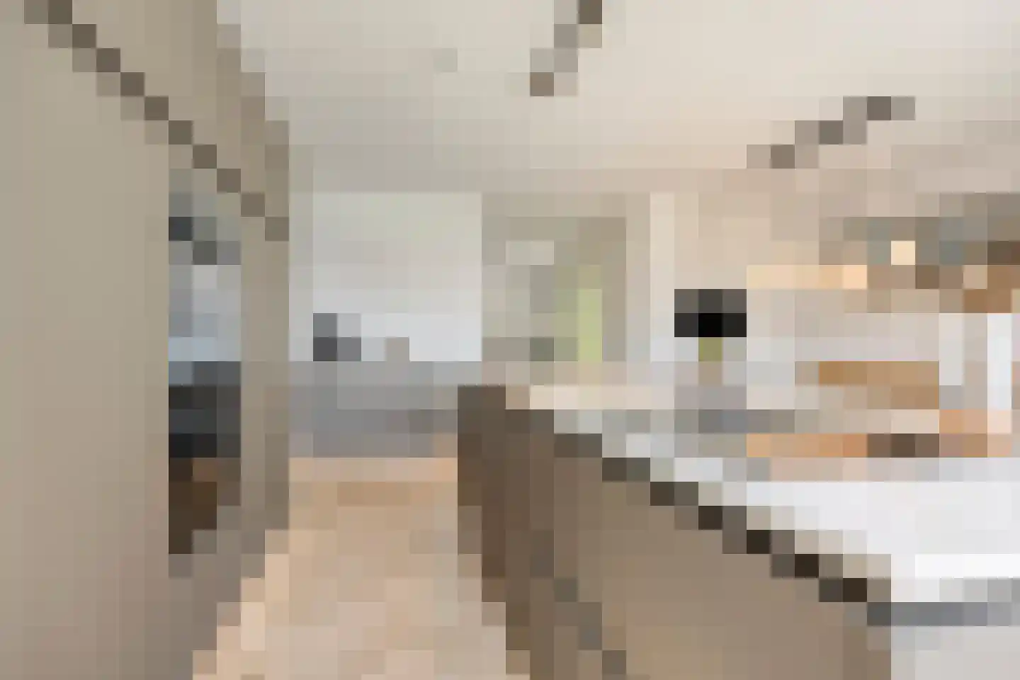 van den Bogaardweg 7 Mill thumbnail 24