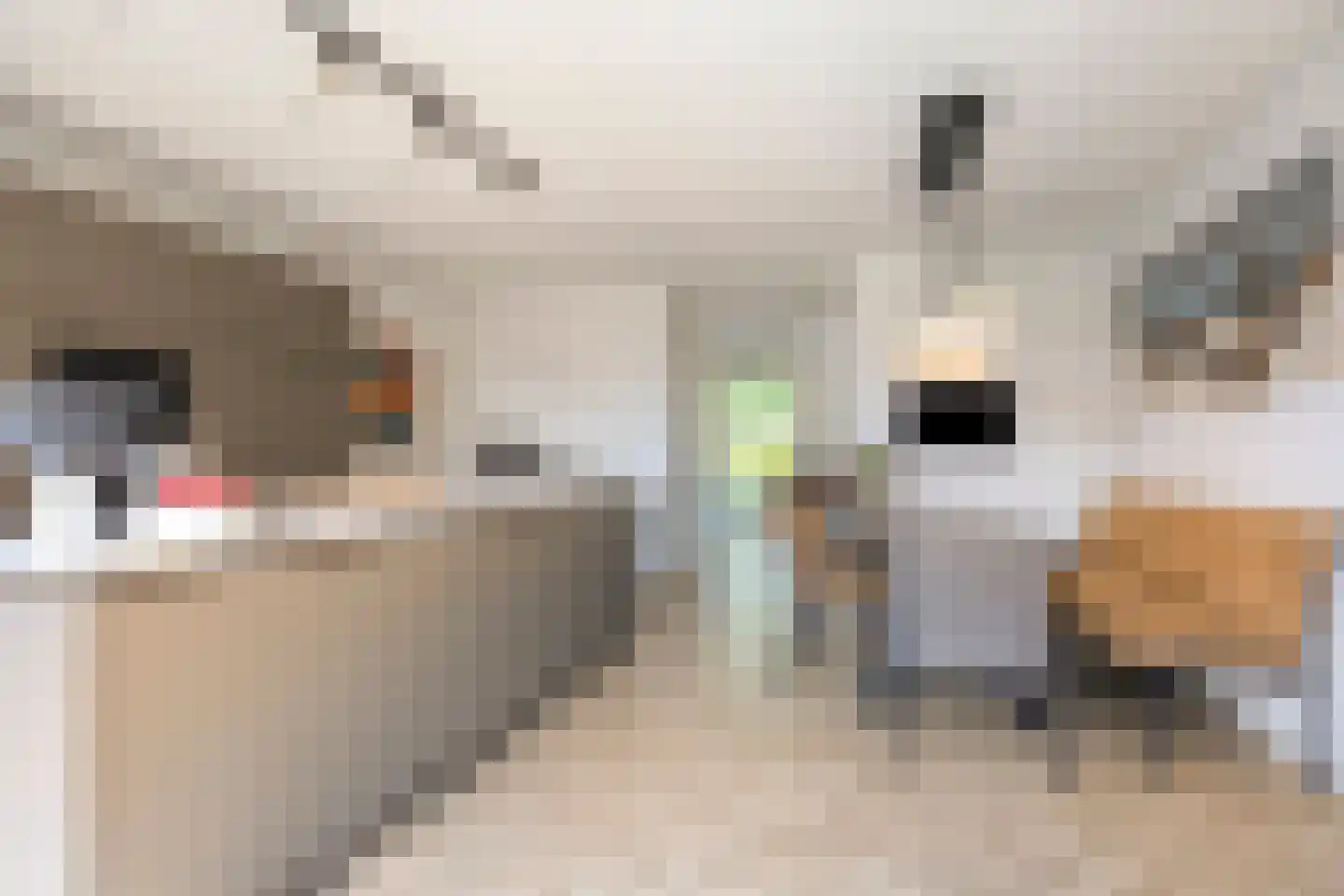 van den Bogaardweg 7 Mill thumbnail 25