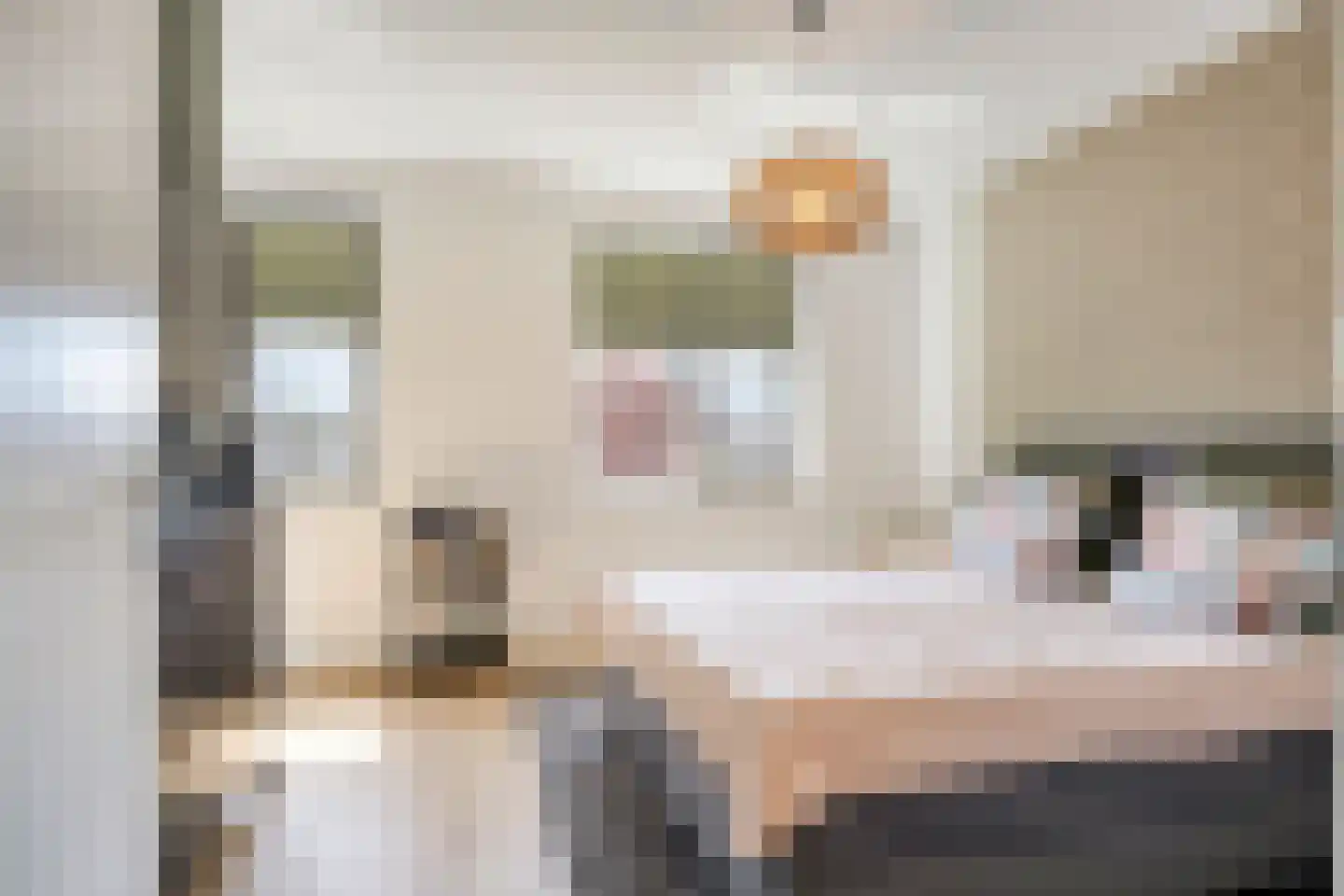 van den Bogaardweg 7 Mill thumbnail 29
