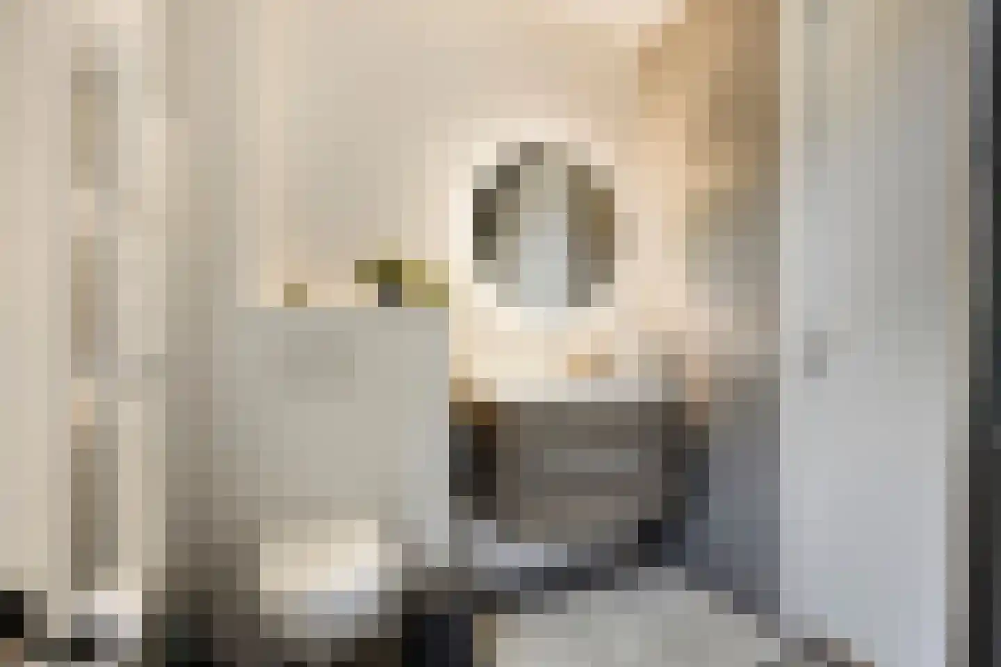 van den Bogaardweg 7 Mill thumbnail 35