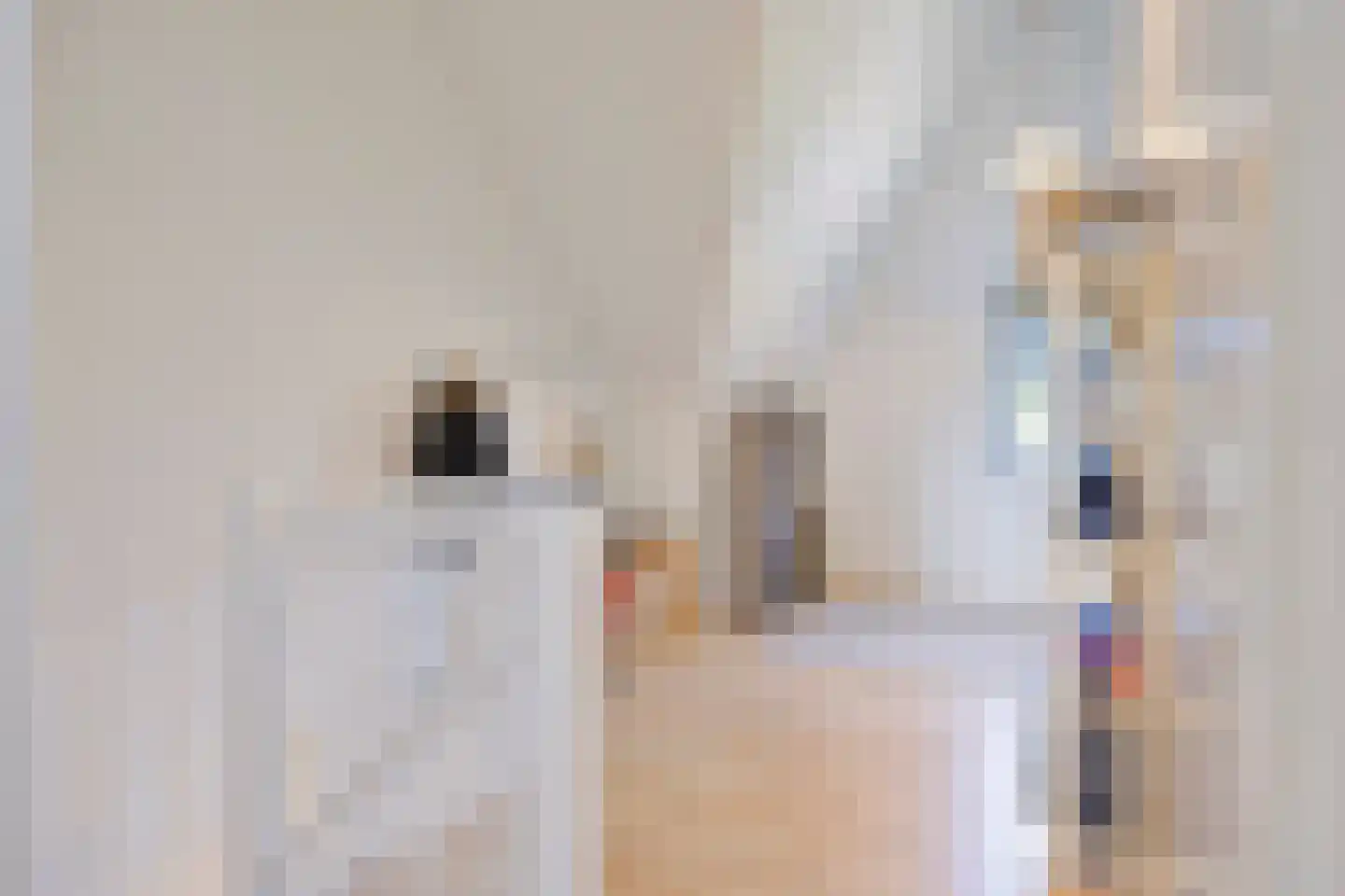 van den Bogaardweg 7 Mill thumbnail 41