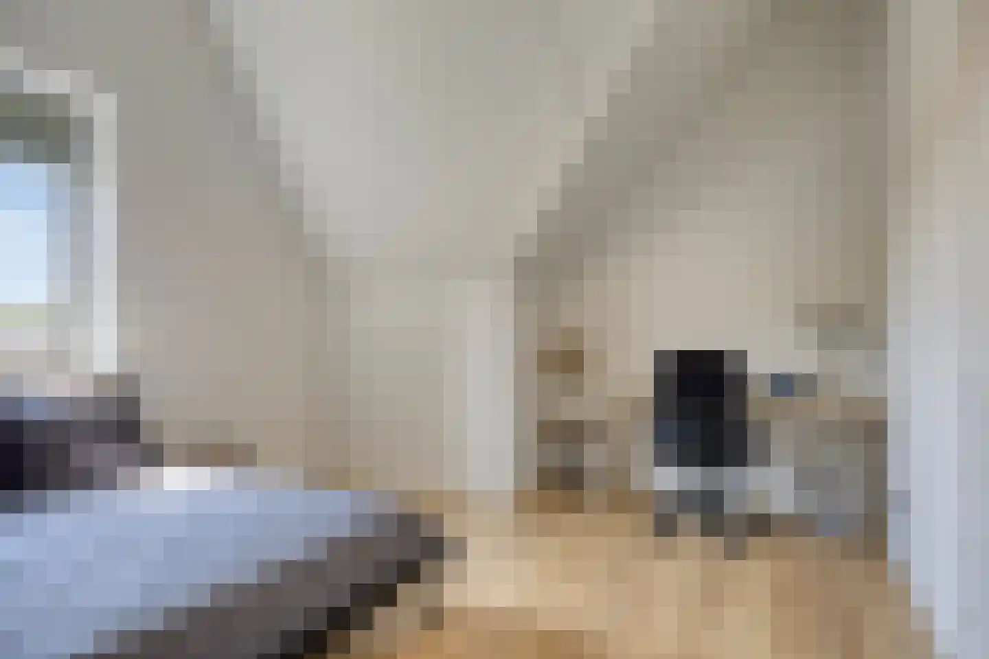 van den Bogaardweg 7 Mill thumbnail 47