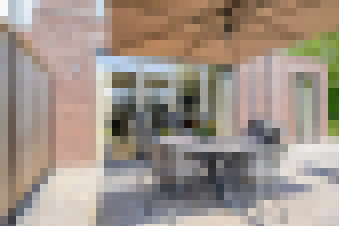van den Bogaardweg 7 Mill thumbnail 55