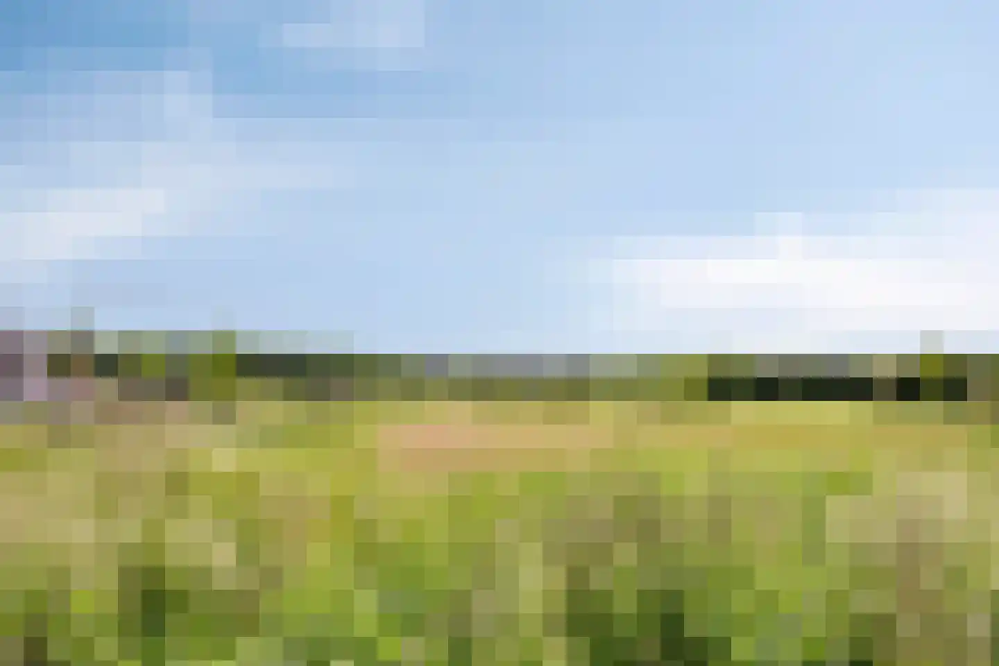 van den Bogaardweg 7 Mill thumbnail 62