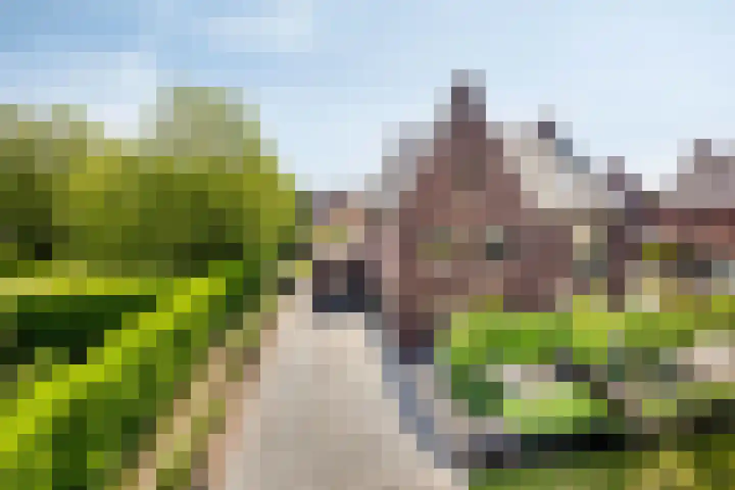 van den Bogaardweg 7 Mill thumbnail 7
