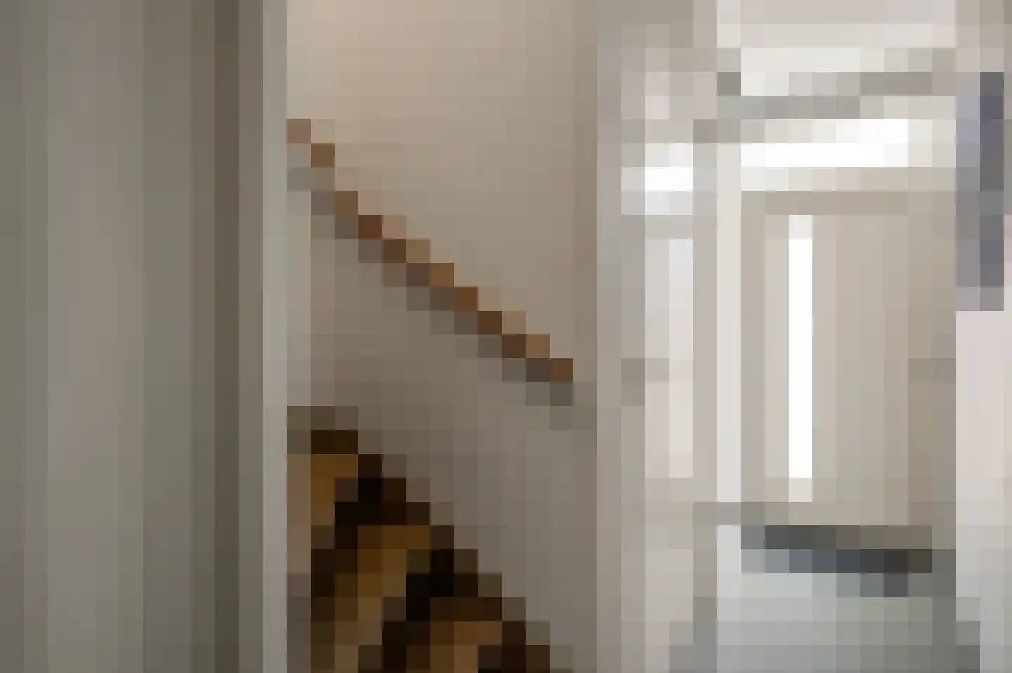 Van Den Bongaertstraat 3 Haelen thumbnail 7