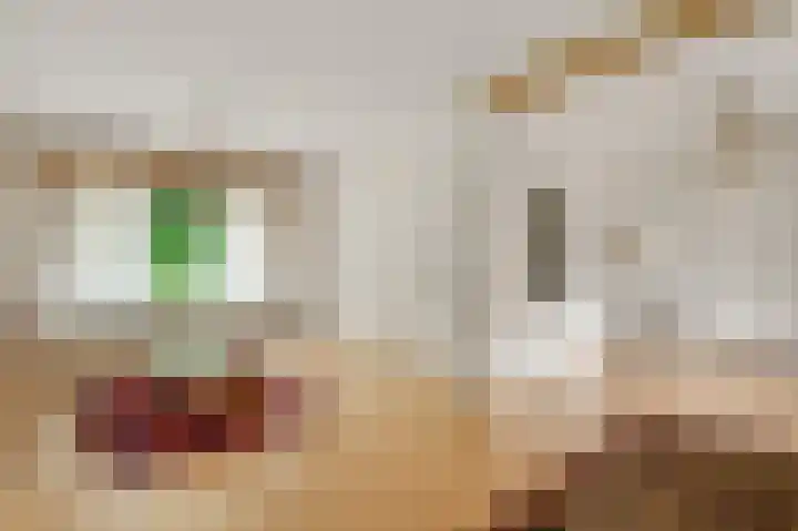 Van Den Bongaertstraat 37 Haelen thumbnail 8