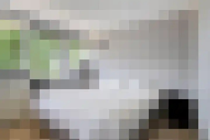 Van den Boogaardstraat 30 Ravenstein thumbnail 12