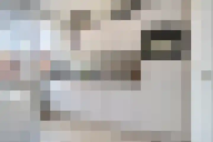Van den Boogaardstraat 30 Ravenstein thumbnail 6