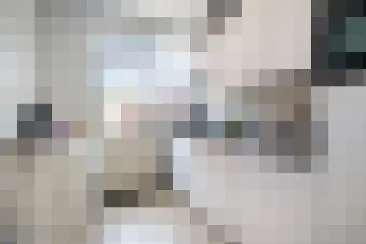 Van den Boogaardstraat 30 Ravenstein thumbnail 7