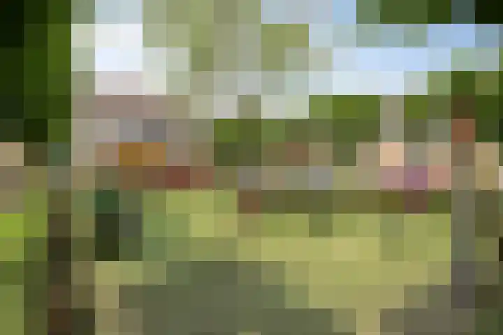 Van den Boogaardstraat 36 Ravenstein thumbnail 32