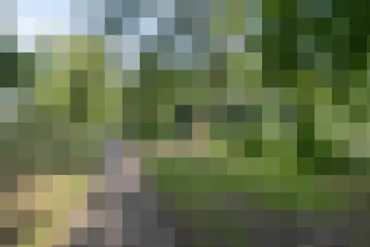 Van den Boogaardstraat 36 Ravenstein thumbnail 33